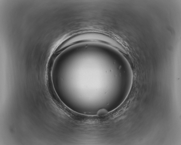 X0000115810248200911131426