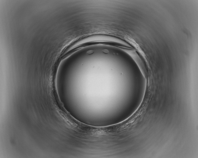X0000115810249200911131426