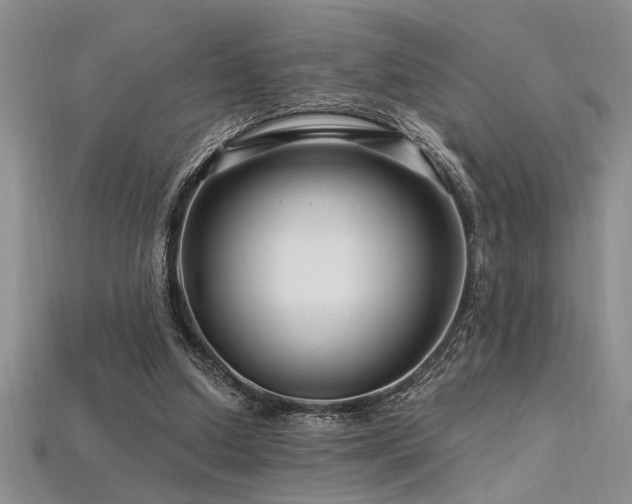 X0000115810250200911131426