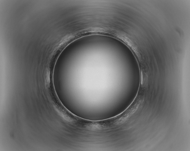 X0000115810253200911131426