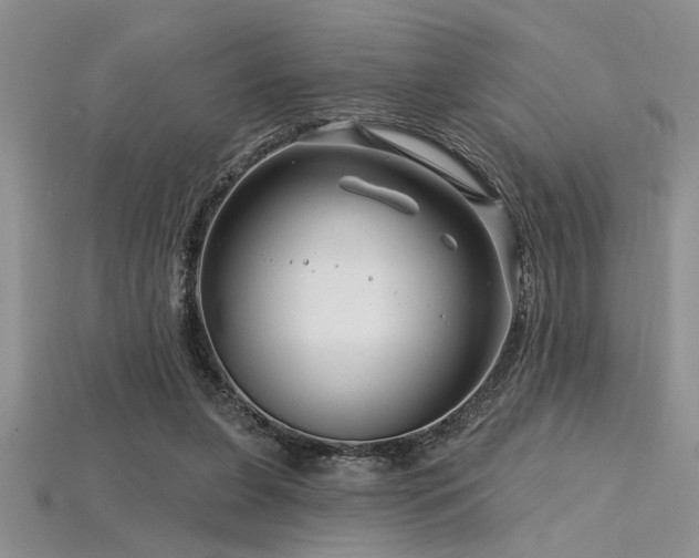 X0000115810255200911131426