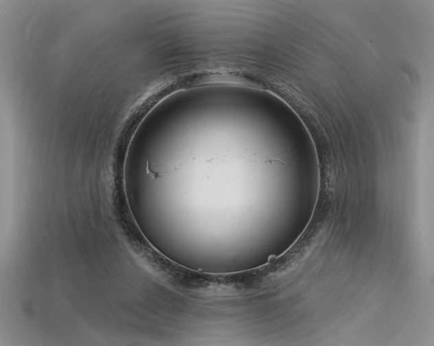X0000115810256200911131426