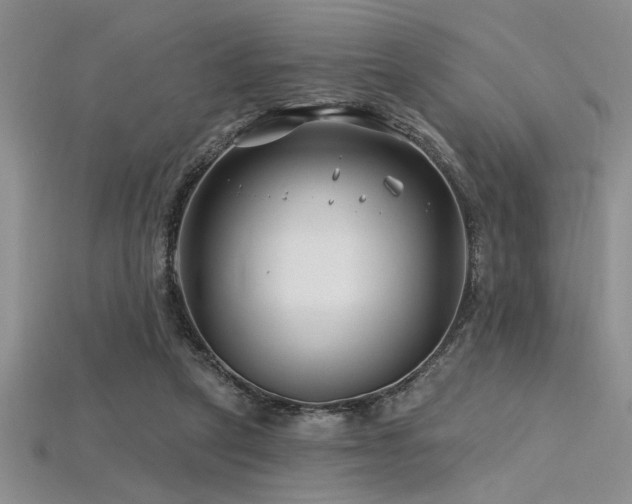 X0000115810257200911131426