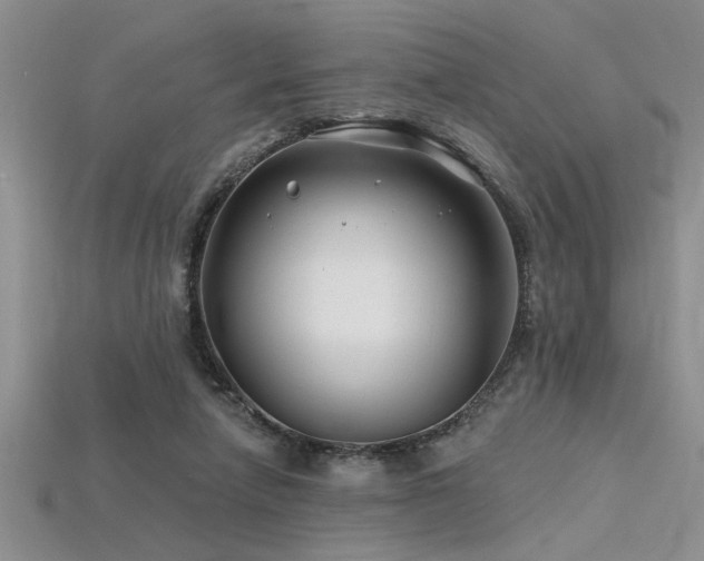 X0000115810258200911131426