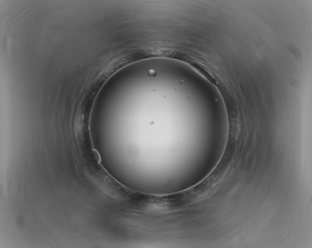 X0000115810263200911131426