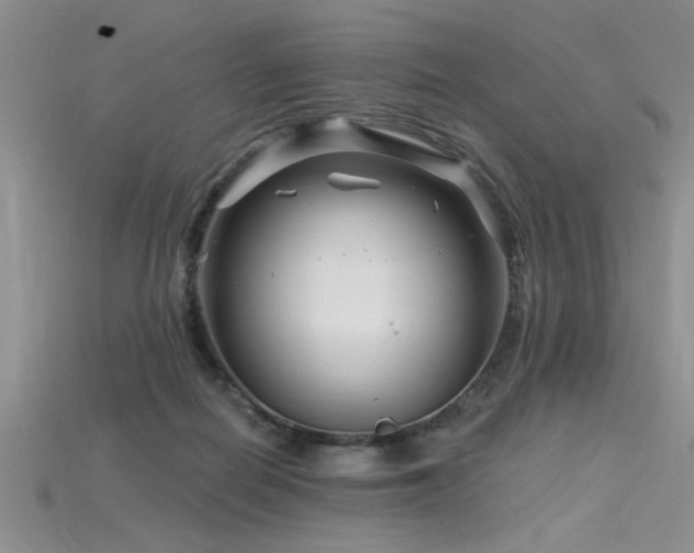 X0000115810266200911131426