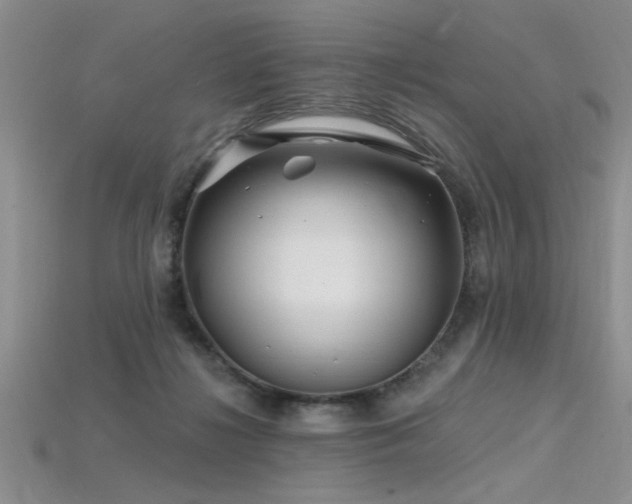 X0000115810268200911131426