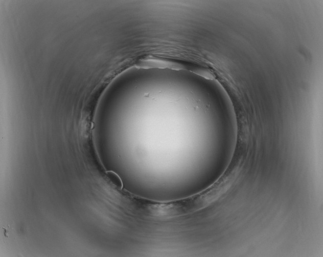 X0000115810273200911131426