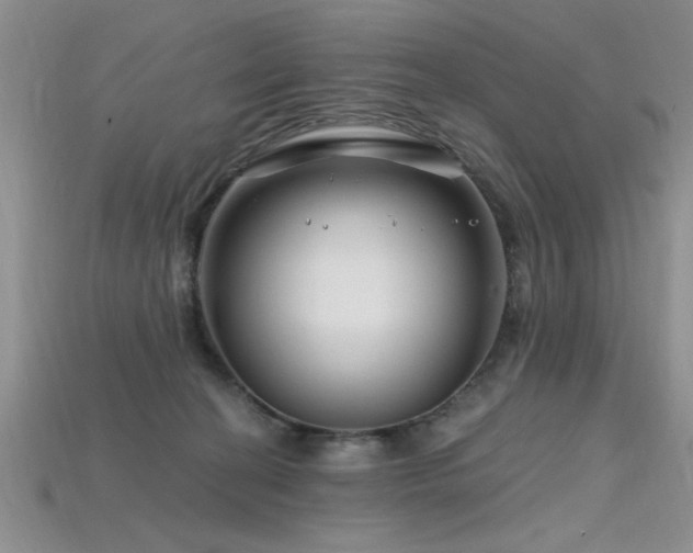 X0000115810274200911131426