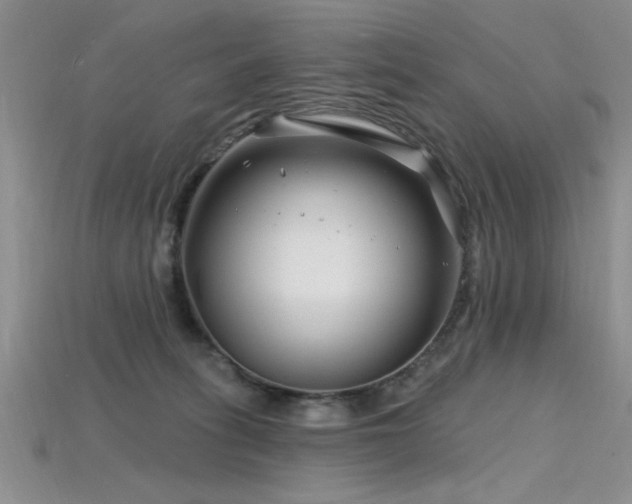 X0000115810275200911131426