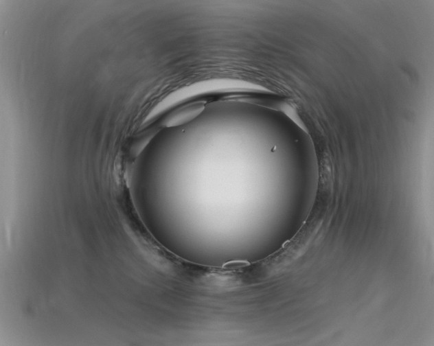 X0000115810280200911131426