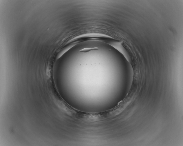 X0000115810282200911131427