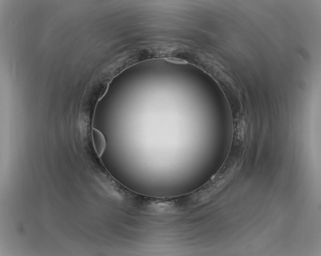 X0000115810283200911131427