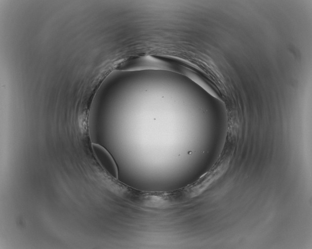 X0000115810285200911131427