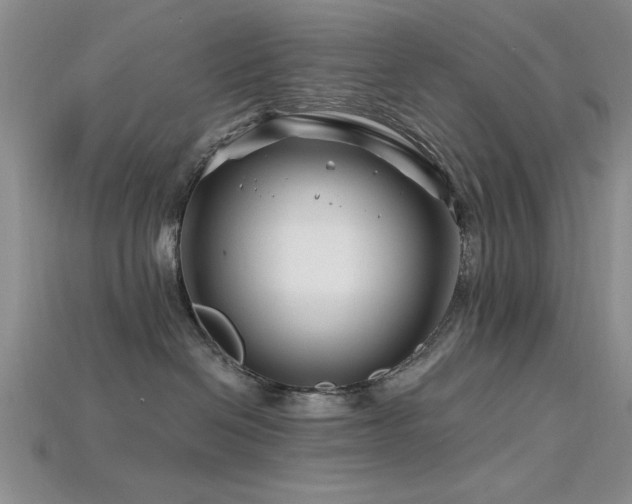 X0000115810286200911131427