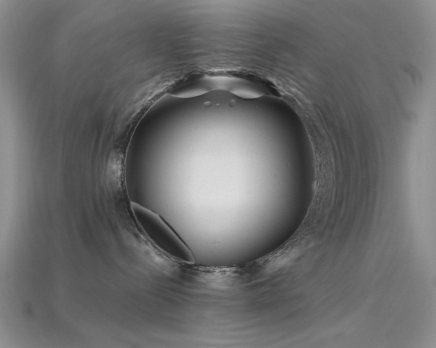 X0000115810288200911131427