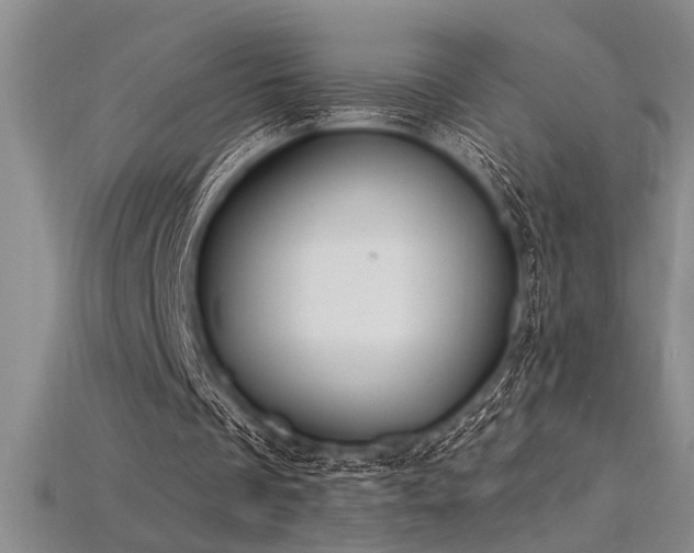 X0000115810289200911131426