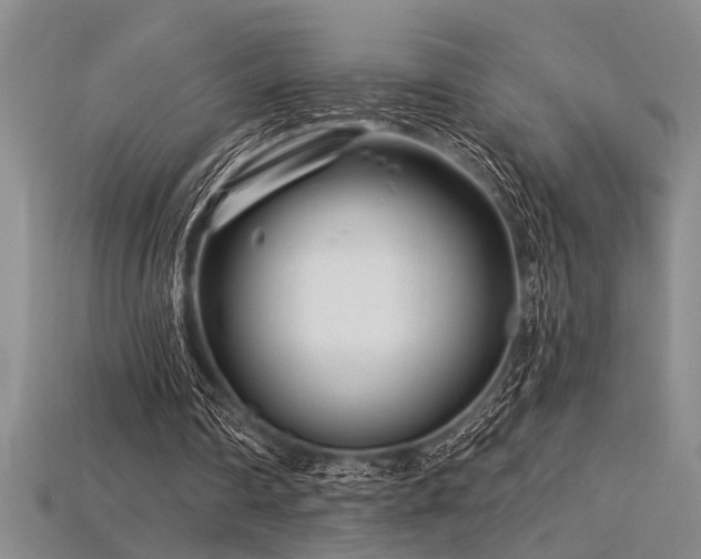 X0000115810290200911131426