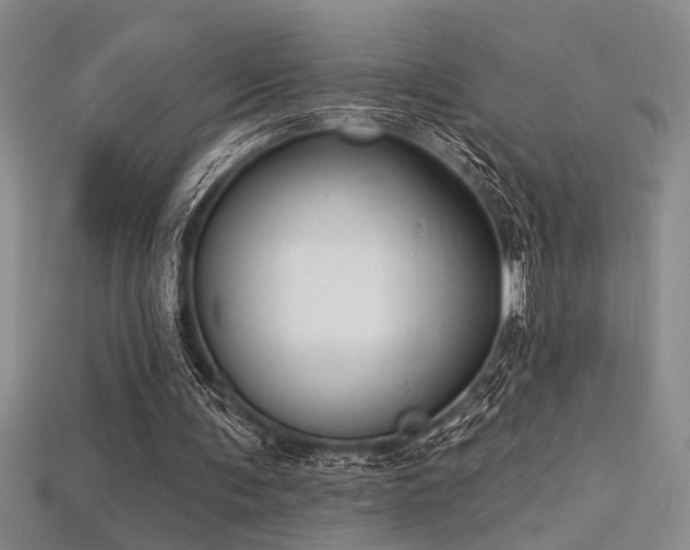 X0000115810291200911131426