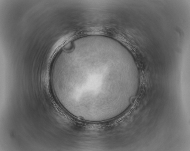 X0000115810293200911131426