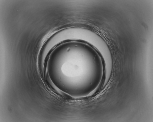 X0000115810294200911131426