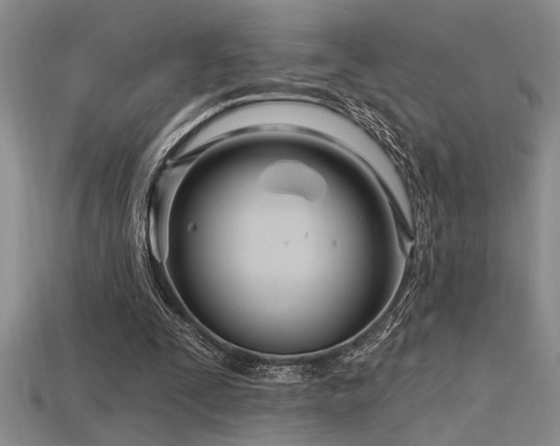 X0000115810295200911131426