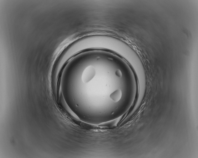 X0000115810296200911131426
