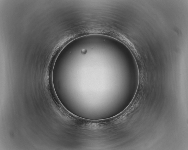 X0000115810298200911131426