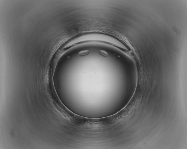 X0000115810299200911131426