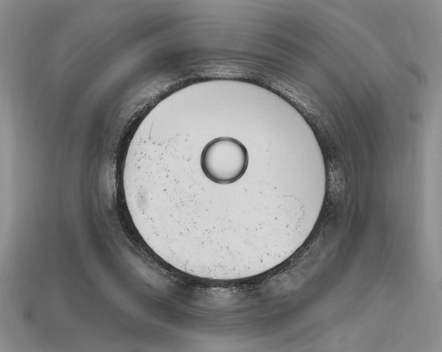 X0000115810302200911131426