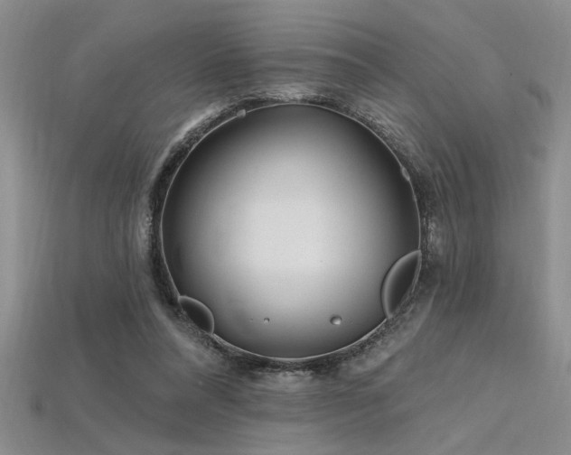 X0000115810304200911131426