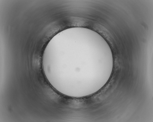 X0000115810305200911131426