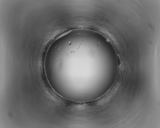 X0000115810306200911131426