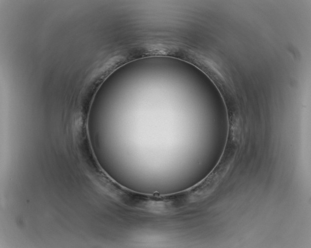 X0000115810314200911131426