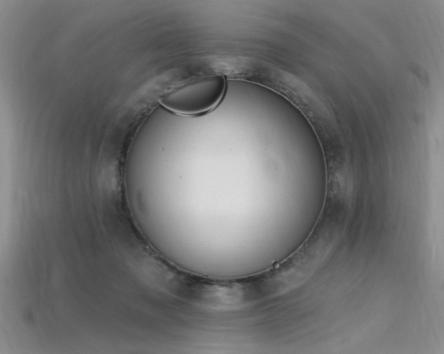 X0000115810317200911131426