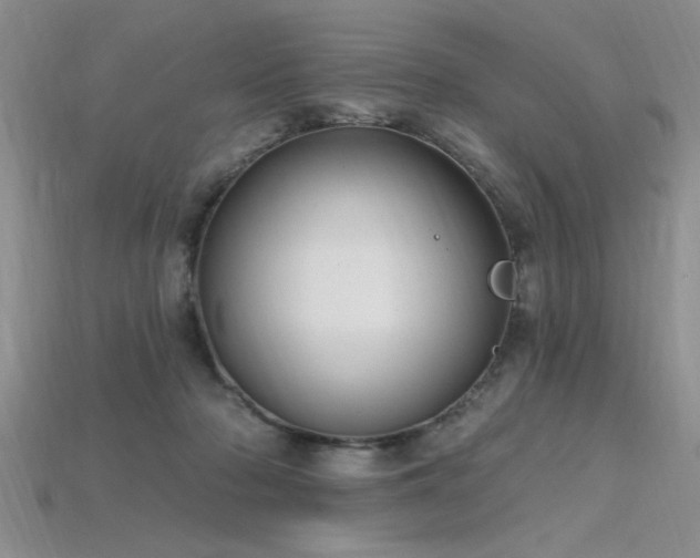 X0000115810318200911131426