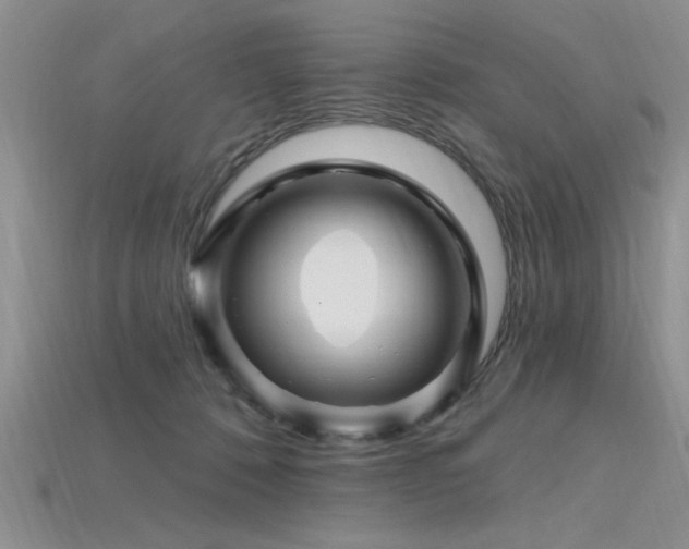 X0000115810320200911131426