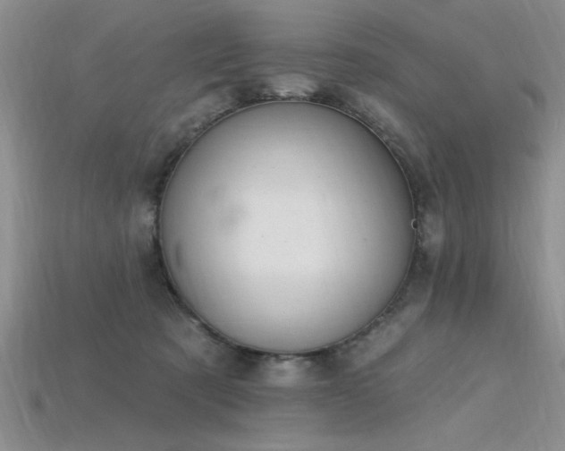 X0000115810321200911131426