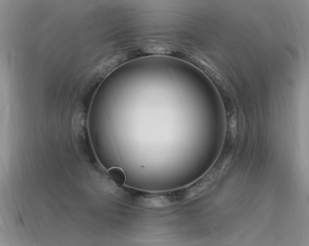 X0000115810322200911131426