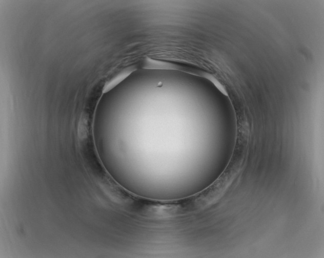 X0000115810323200911131426