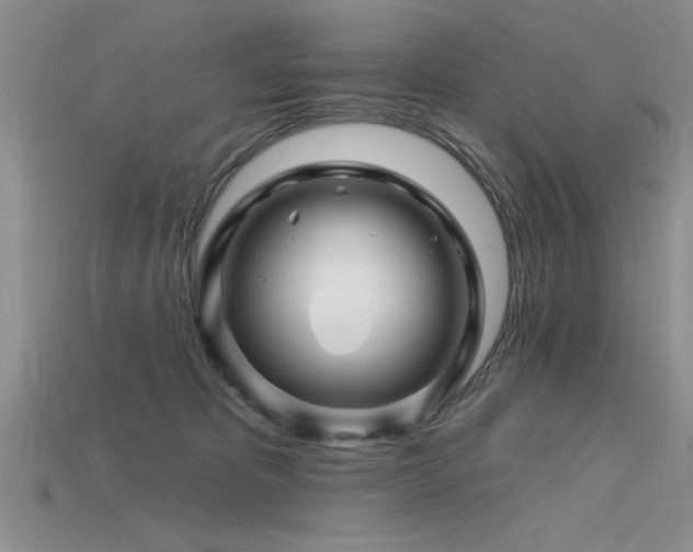 X0000115810325200911131426