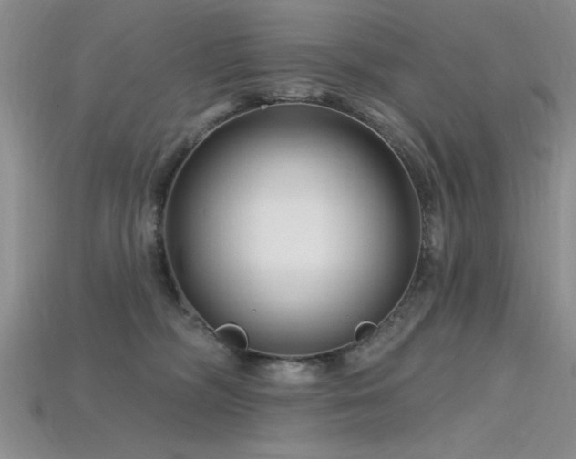 X0000115810326200911131425
