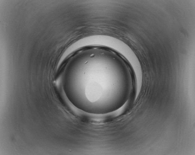X0000115810327200911131425