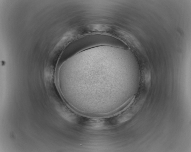 X0000115810328200911131425