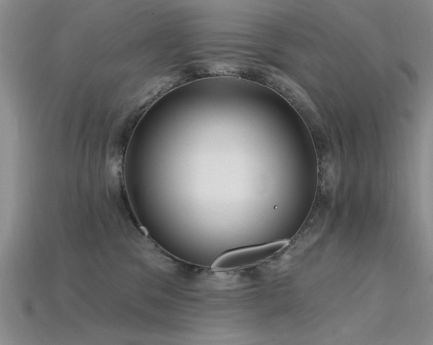 X0000115810329200911131425