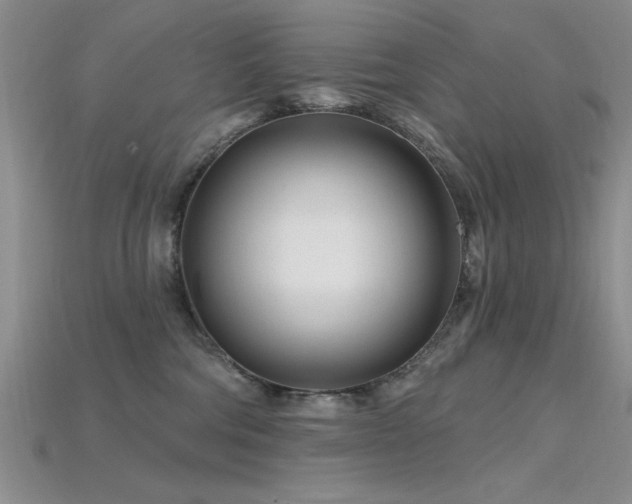 X0000115810330200911131425
