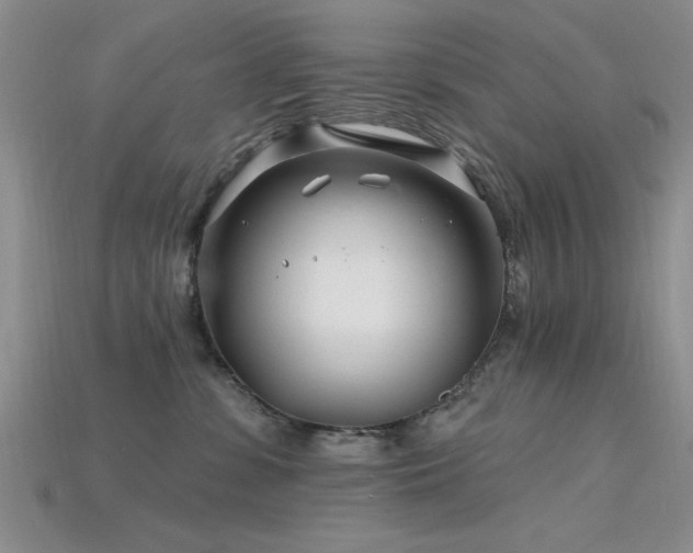X0000115810331200911131425