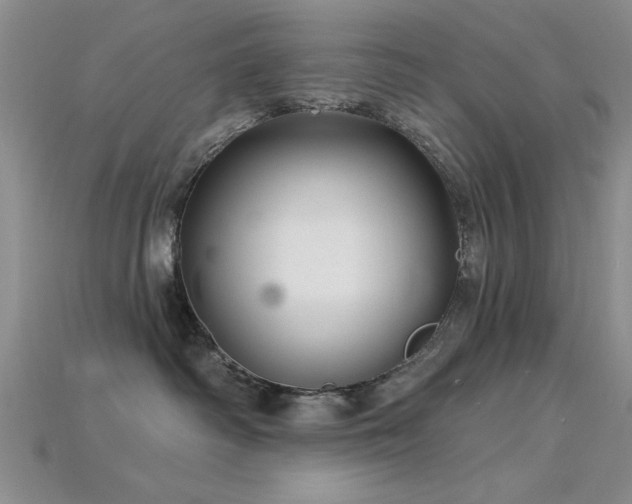 X0000115810334200911131425