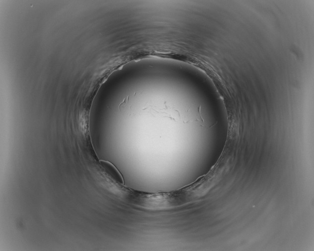 X0000115810335200911131425