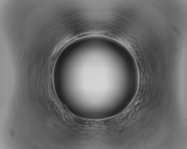 X0000115810337200911131425